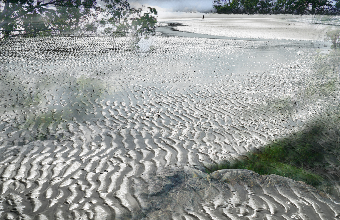 Rippled sandbar and gum trees at a Melbourne wetland